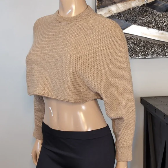 Wilfred Free Aritzia Lolan Cropped Sweater 100% Merino Wool Tan Womens Small - Picture 5 of 13
